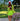 TENNIS SKIRT 1