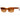 SHADES 1