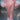 DRESSWITH FEATHERS ON THE SLEEVES 2