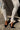RINGO LEGGINGS