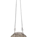 JAALA NANO CROSSBODY SHINY SILVE 4