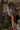 SHORTS ANIMAL PRNT