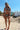 LILIA BIKINI