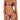 PALM PARADISE BIKINI 2