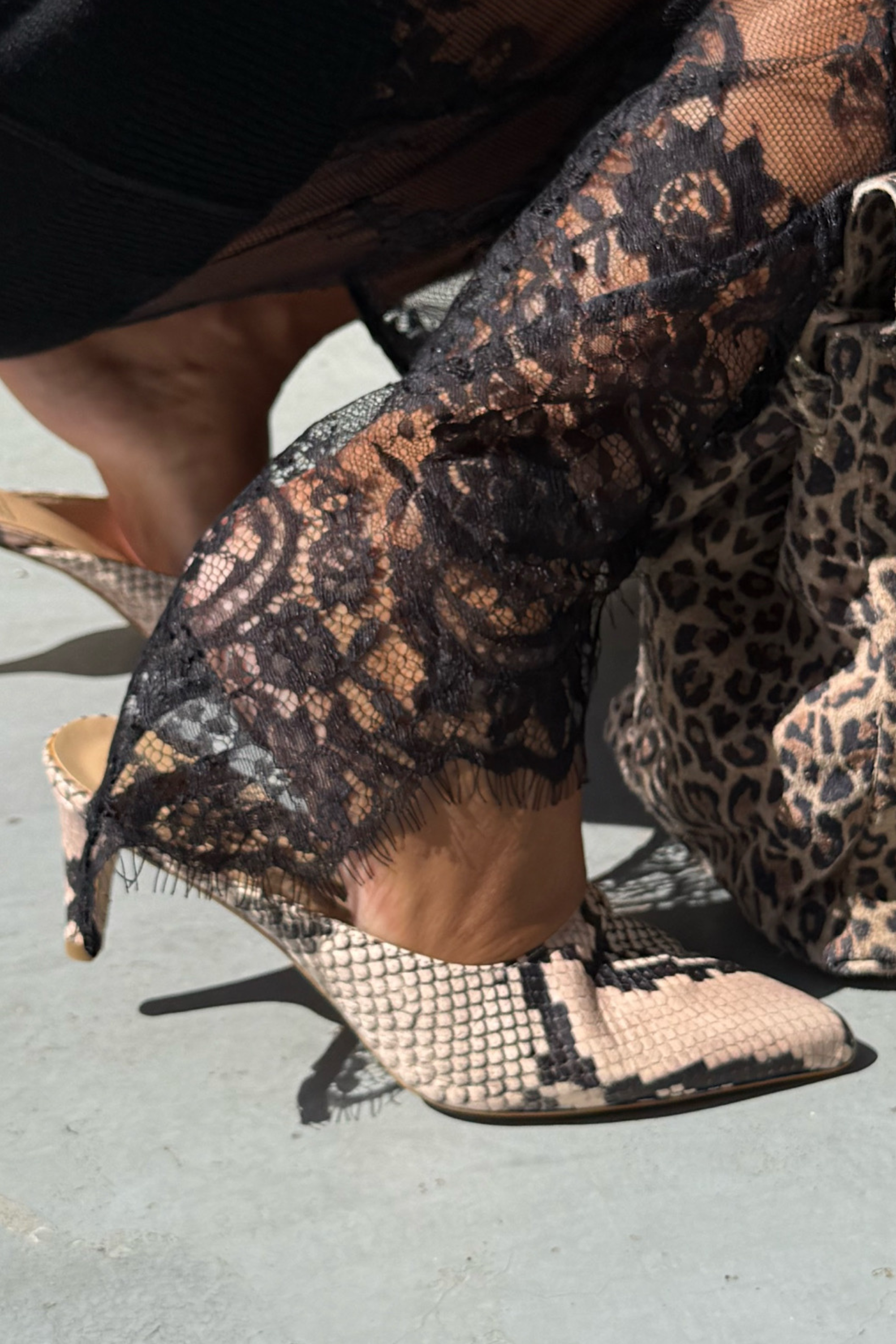 PYTHON NEGRO MULES