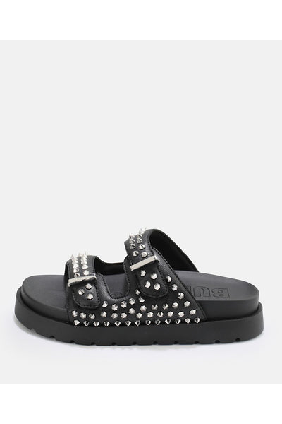 EVE STUD 1